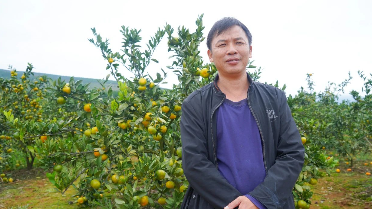 1602836993902959.png image.png