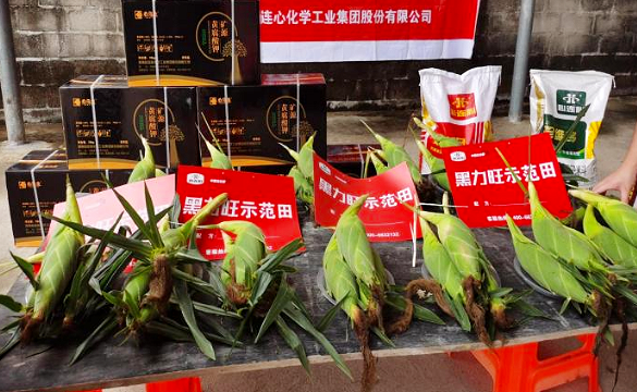 1618646185365738.png image.png