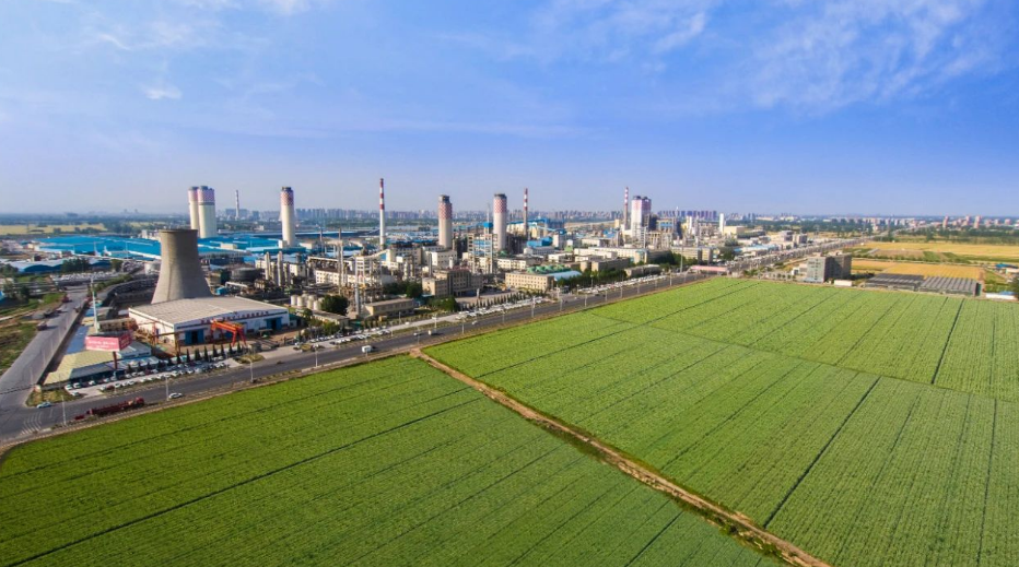 1674864417984906.png image.png