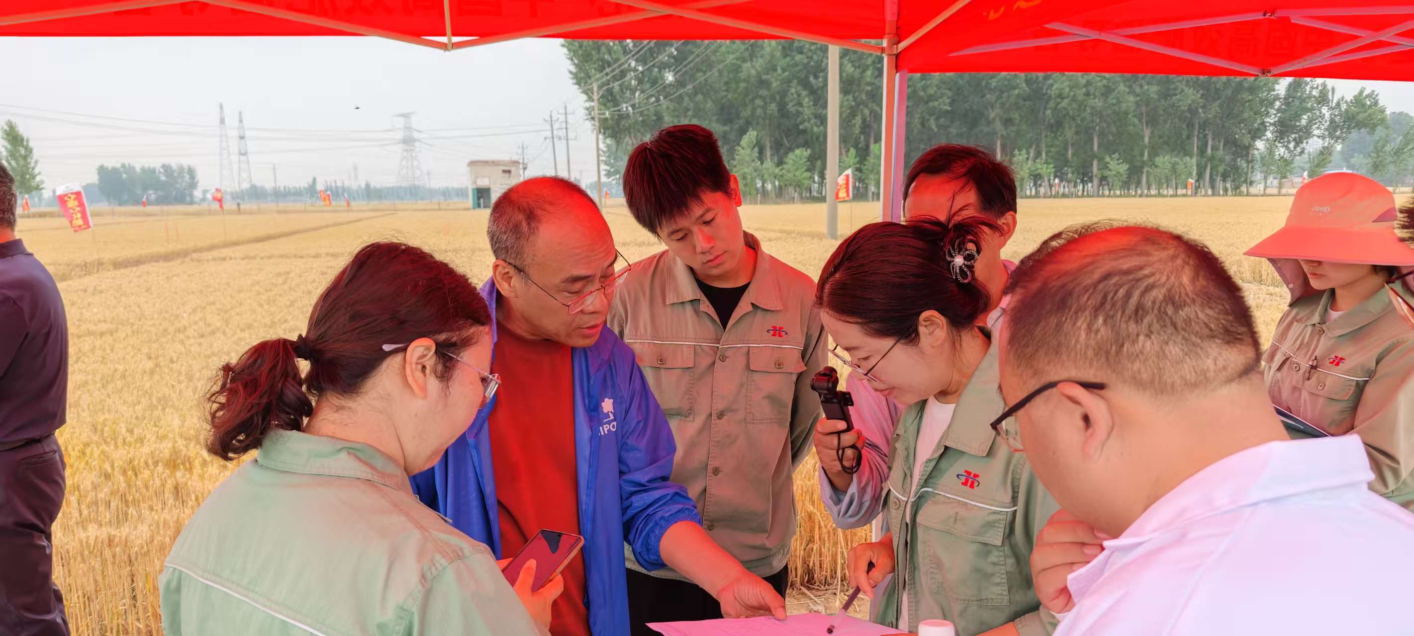 高溫旱情下科技賦能農(nóng)業(yè)!心連心集團主持的兩個“十四五”課題交出亮眼成績單